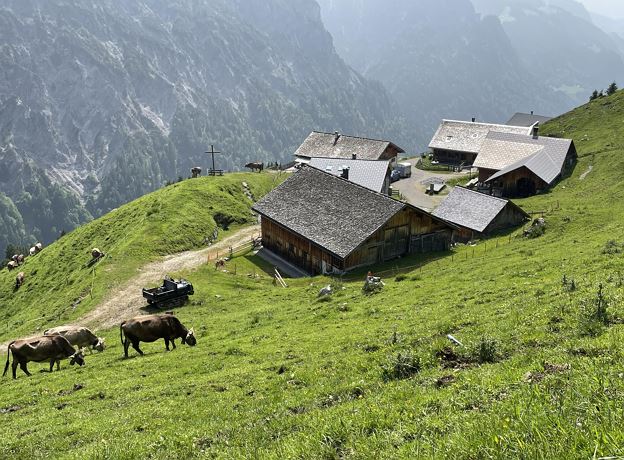 Alpexkursion Ischkarnei