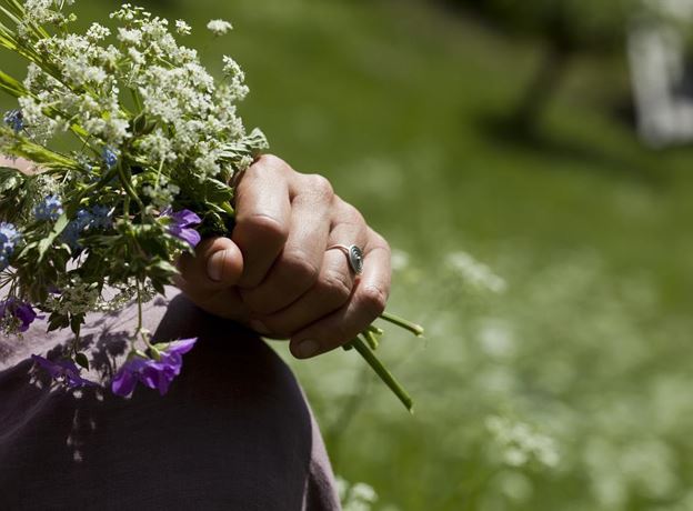 Herb Walk with Ilga Bickel