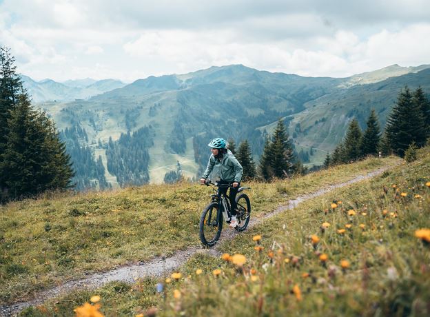 Geführte E-Bike-Touren in Damüls Faschina