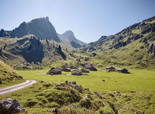 Spezialitäten vom Wild auf der Alpe Laguz