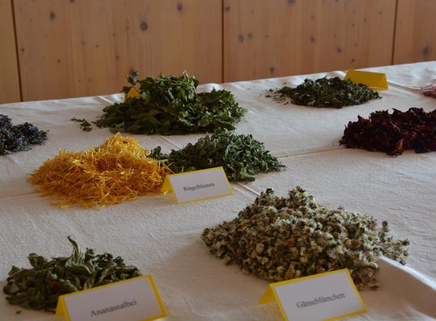 Bergtee-Zeit im biosphärenpark.haus