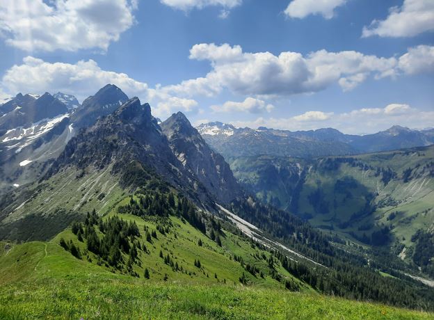 BERGaktiv Alpine Kräuter- & Naturwanderung zur Wangspitze (1873m)