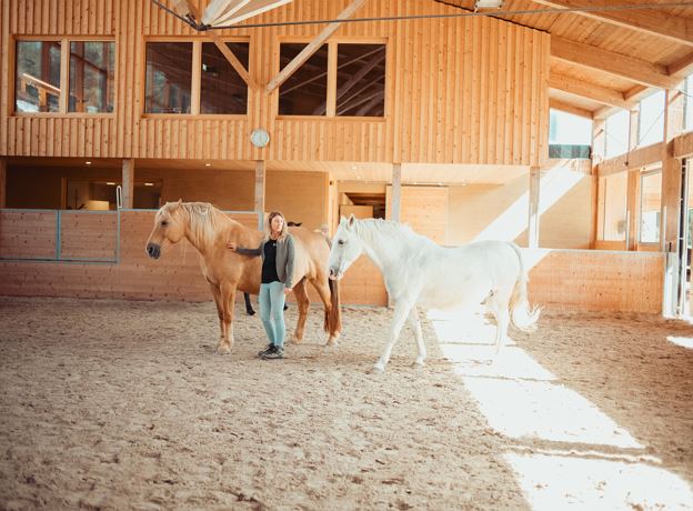 Meeting with the Horses