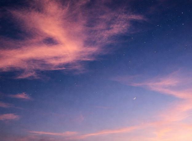 Picnic with horses - open discussion on Infertility